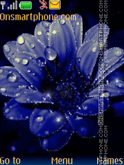 Drop Flower Theme-Screenshot