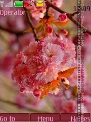 Capture d'écran Sakura thème