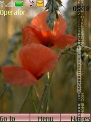 Poppies Wheat Theme-Screenshot