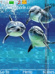 Скриншот темы Dolphins