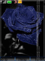 Скриншот темы Blue Rose