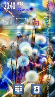 Dandelions 01 theme screenshot