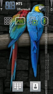 Cute Parrots theme screenshot