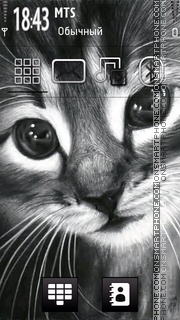 Absolutely Kitty theme screenshot