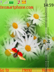 Camomile and Ladybird tema screenshot