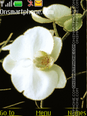 White orchid es el tema de pantalla