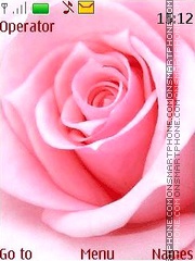Tenderness of roses anim theme screenshot