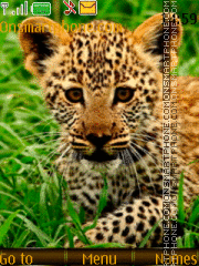 Leopard 04 theme screenshot