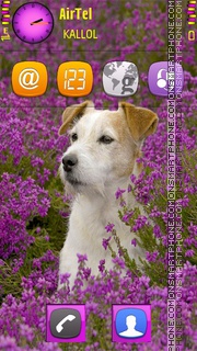 Dog theme screenshot