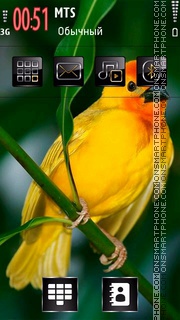 Скриншот темы Yellow Bird 01