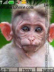 Funny Monkey By ROMB39 tema screenshot