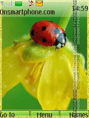 Lady Bug on yellow flower tema screenshot