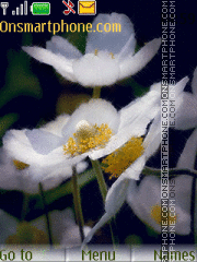 White flowers tema screenshot