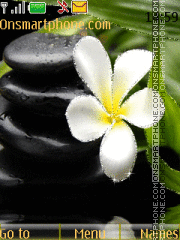 Orchid on the stone tema screenshot