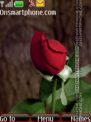 Red rose Theme-Screenshot