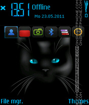 Black cat es el tema de pantalla