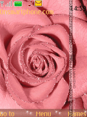 Sweet rose theme screenshot