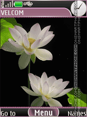 Capture d'écran Lotuses Animation thème