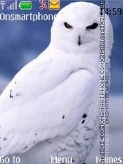 Capture d'écran White Owl thème