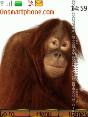 Capture d'écran Chimpanzee Comedy By ROMB39 thème